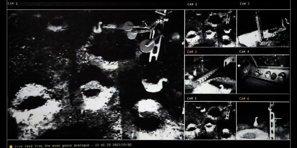 Agnes Meyer-Brandis – THE MOON GOOSE ANALOGUE: Lunar Migration Bird Facility, live feed /camera views from the moon analogue @ Agnes Meyer-Brandis, VG-Bildkunst 2016