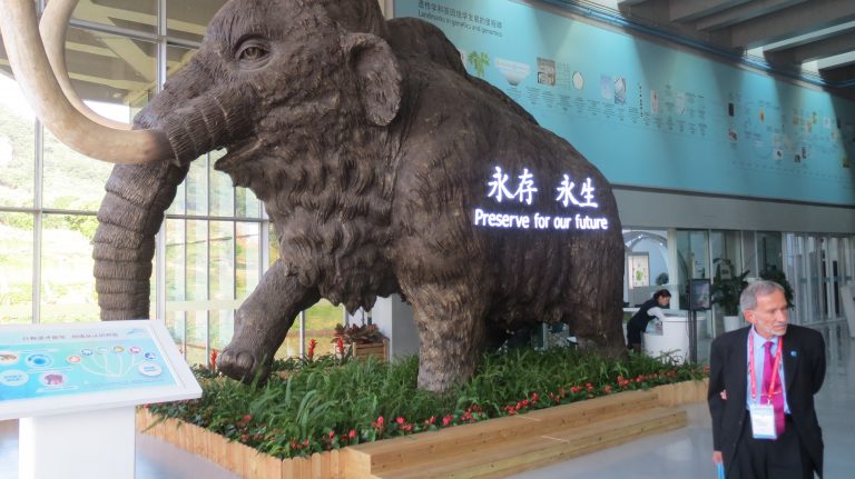 China's GeneBank aims to bring endangered species back from the grave
